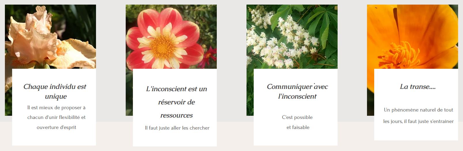 Cours de peinture et d'écriture créative et développement personnel.